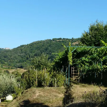 Vendégház A Cal